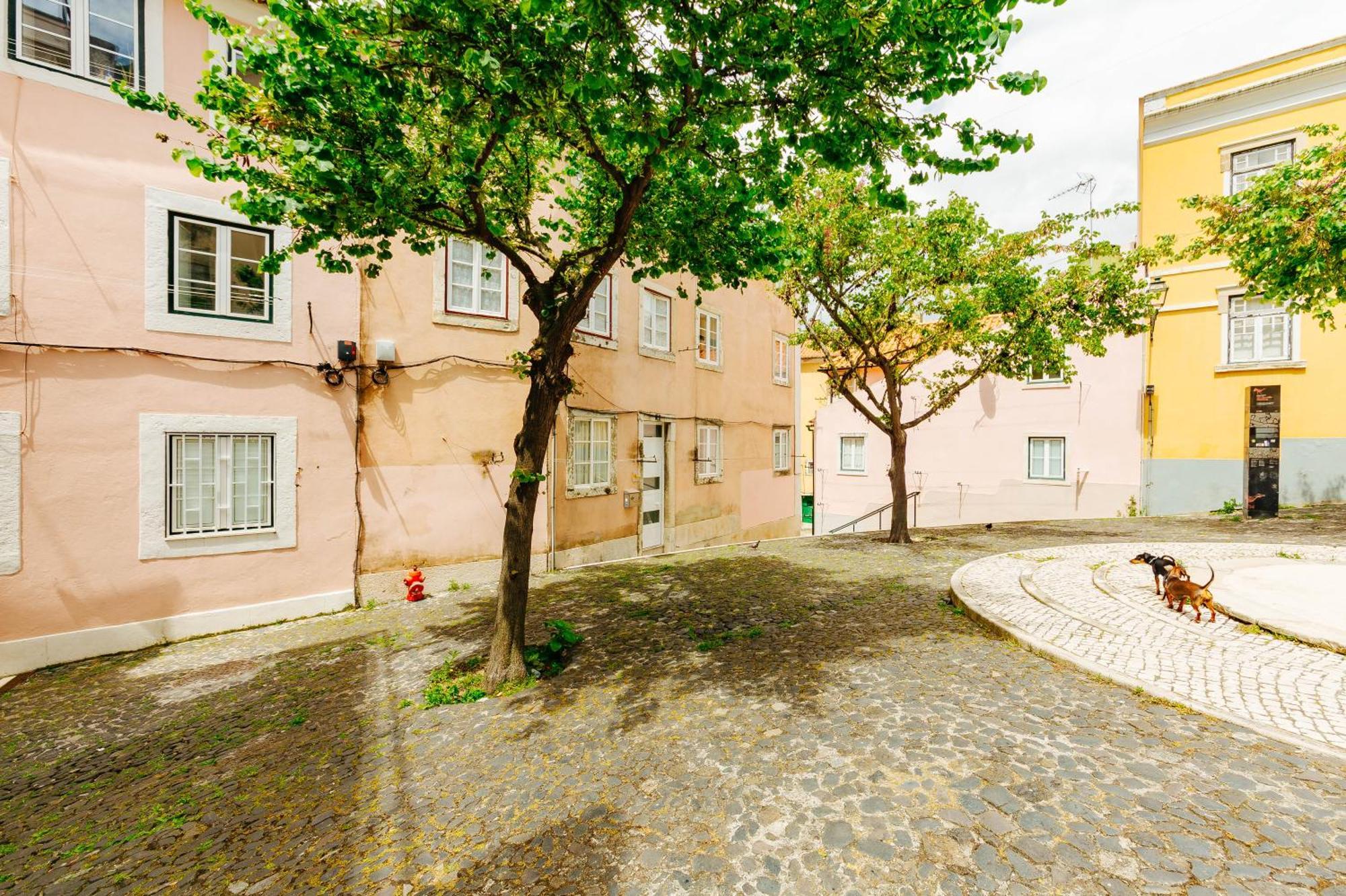 Rent4Rest Lisbon Downtown Tiny Studio Apartments Екстер'єр фото